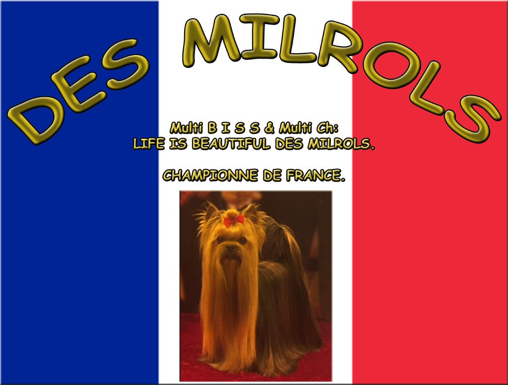 Des milrols - Championat de FRANCE PARIS 02 06 18