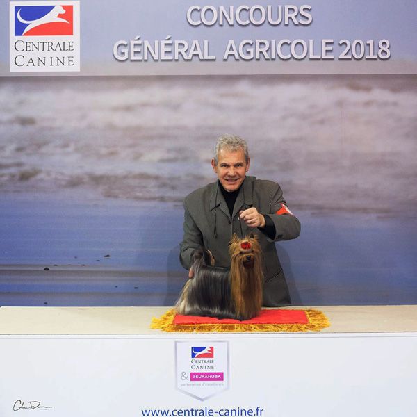 Des milrols - Concours géneral agricole PARIS 24 02 18