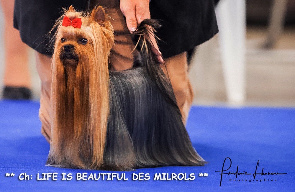 Des milrols - LEON ( ESPAGNE).
